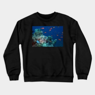 marine and aquatic life Crewneck Sweatshirt